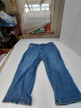 Lane Bryant Jeans Womens Plus Size 18 Blue Mid Rise Skinny Denim Stretch